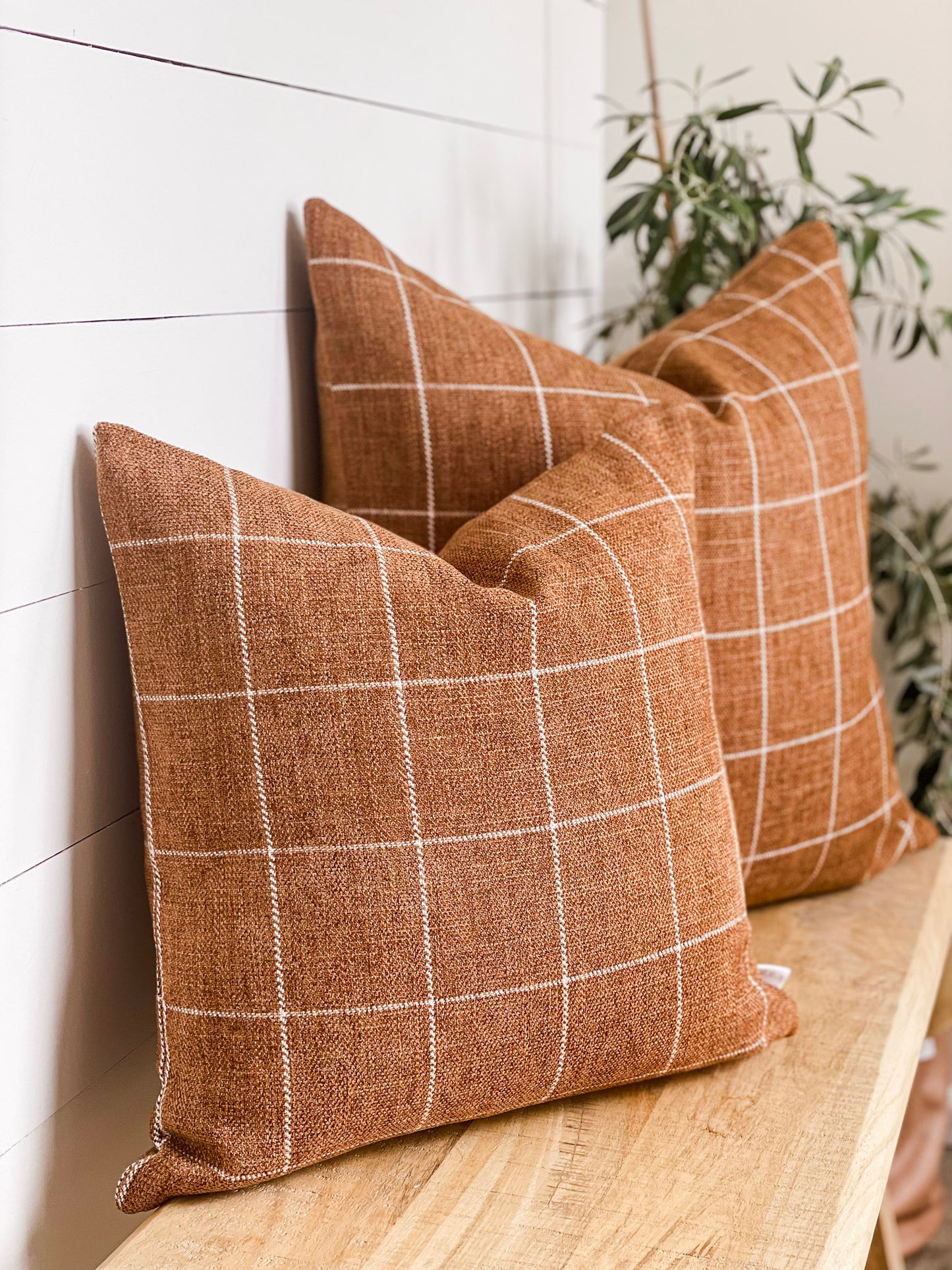 Cushion Cover - Saddle Check