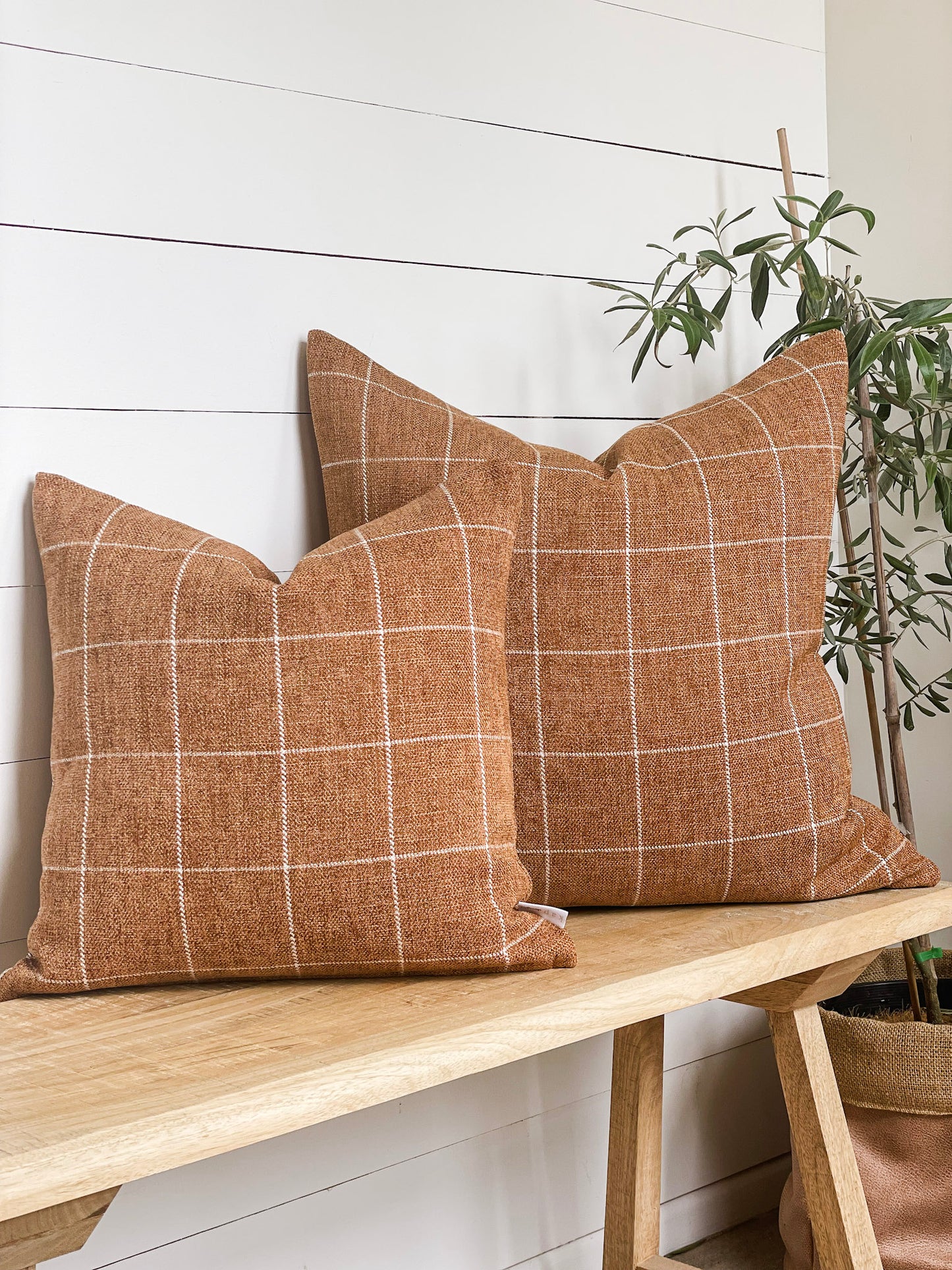 Cushion Cover - Saddle Check